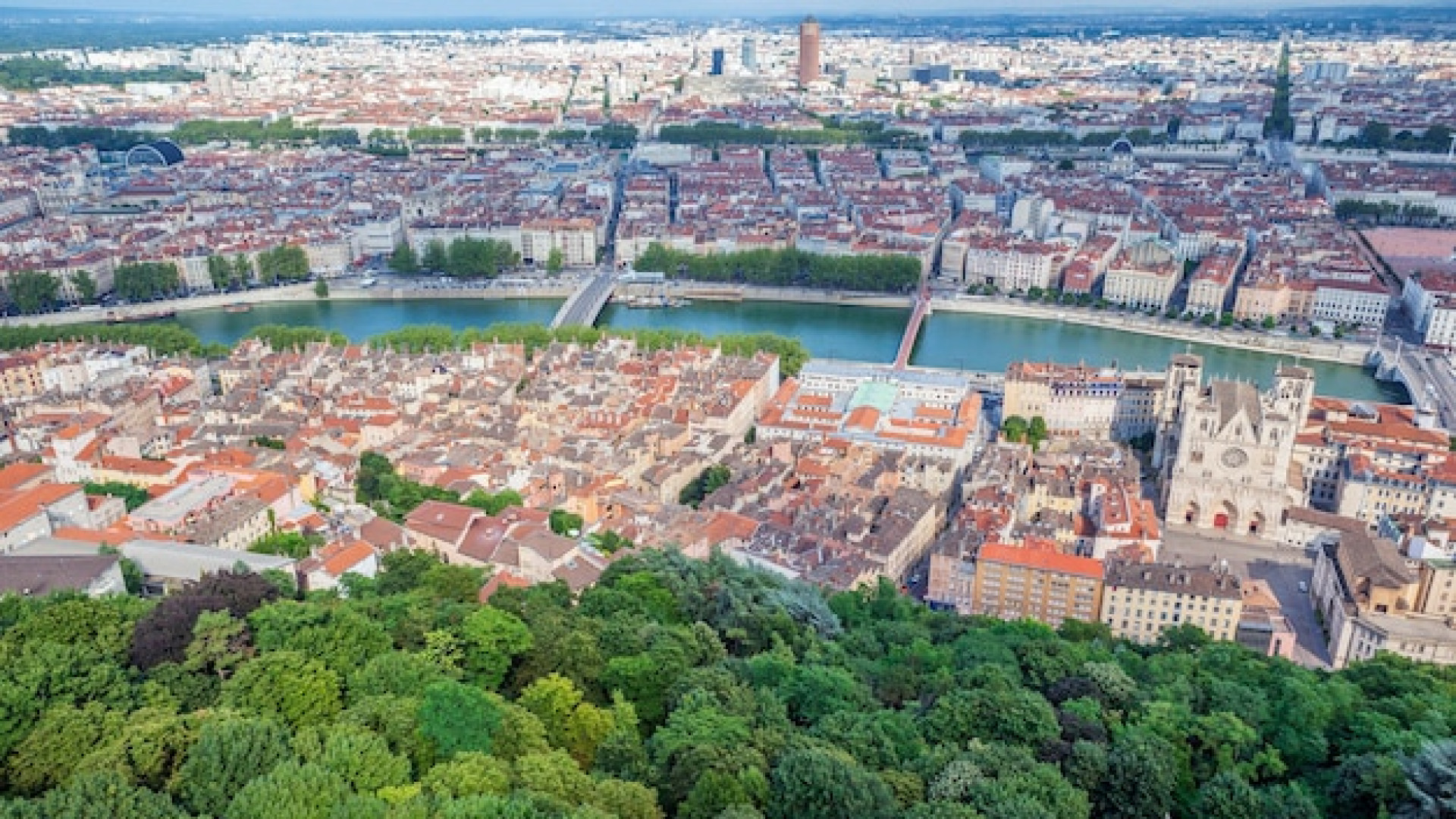 Réparation professionnelle de volets roulants à Bordeaux : confort et sécurité